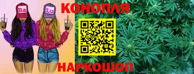стафф Будённовск