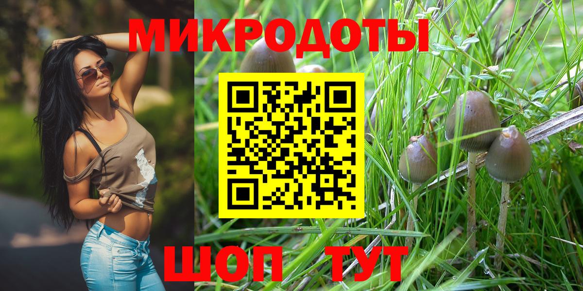 Галлюциногенные грибы мухоморы Мирный