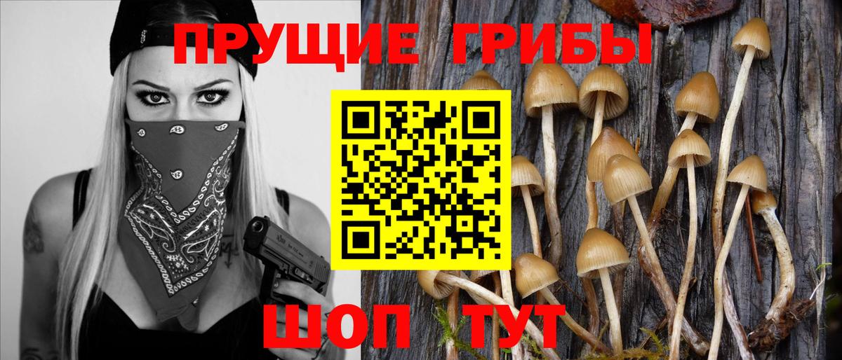 Галлюциногенные грибы мухоморы  купить   Мирный  Вход с VPN 